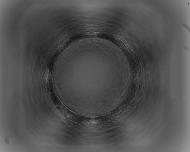 X0000091710647200709210942