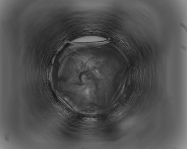 X0000091710649200709210942