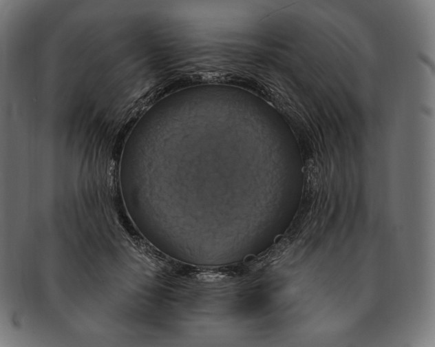 X0000091710650200709210942