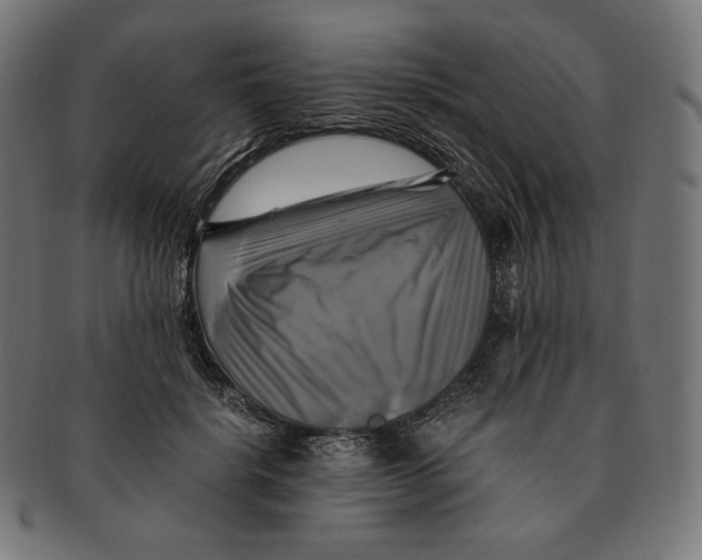 X0000091710652200709210942