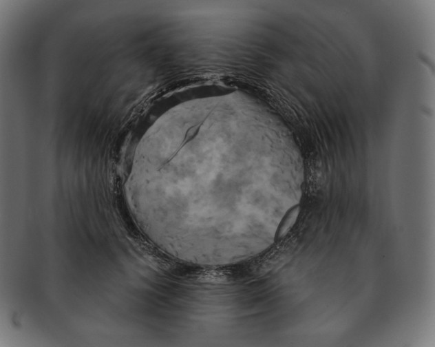 X0000091710656200709210942