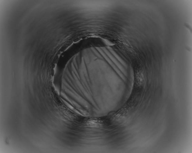 X0000091710657200709210942