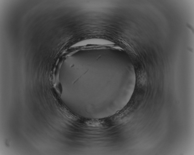 X0000091710661200709210942