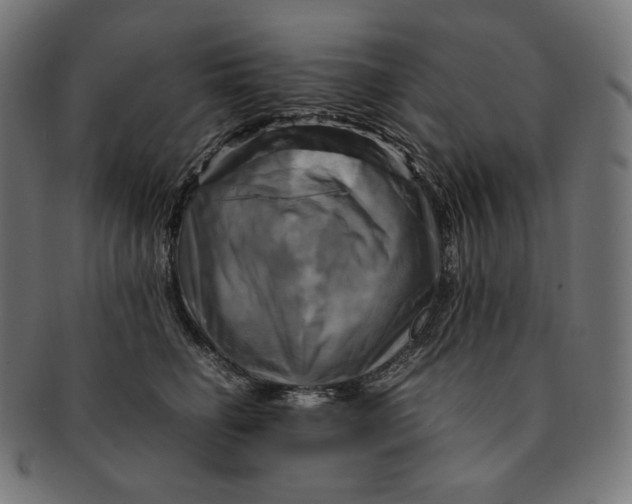 X0000091710662200709210942