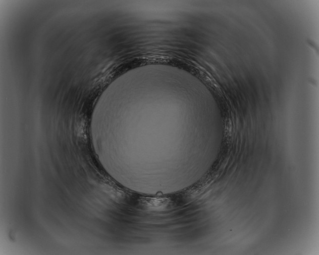 X0000091710663200709210943