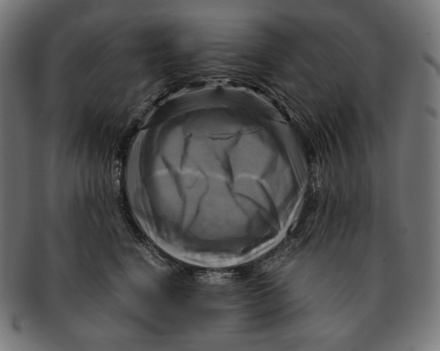 X0000091710664200709210943