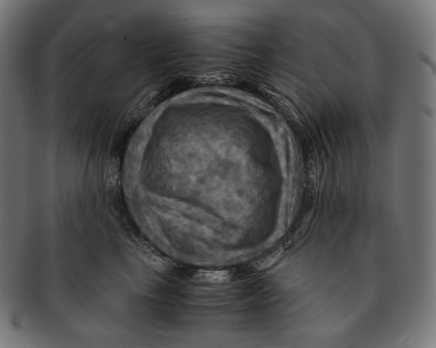 X0000091710665200709210943