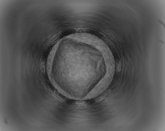 X0000091710666200709210943