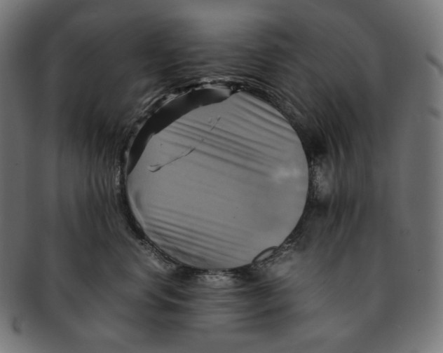 X0000091710668200709210943