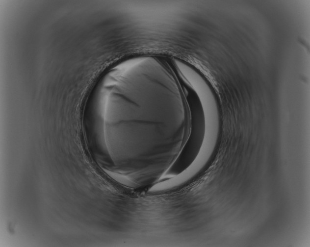 X0000091710673200709210942