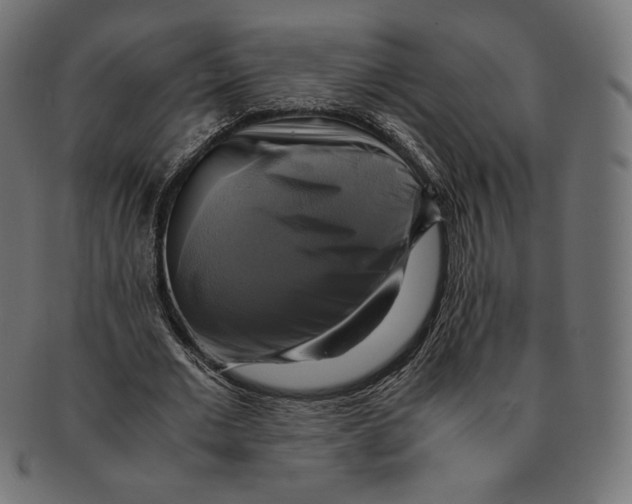 X0000091710677200709210942