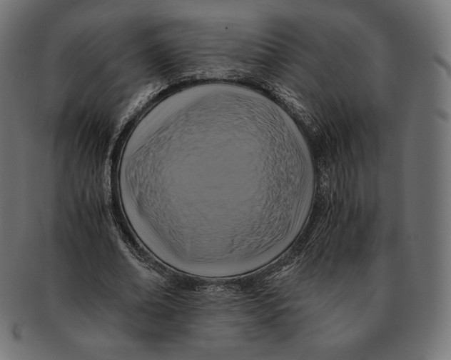 X0000091710678200709210942