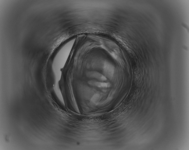 X0000091710679200709210942