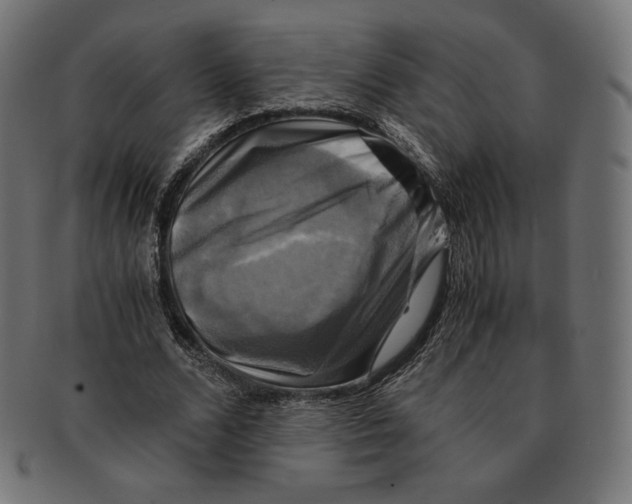 X0000091710680200709210942