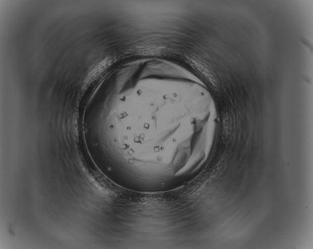 X0000091710682200709210942
