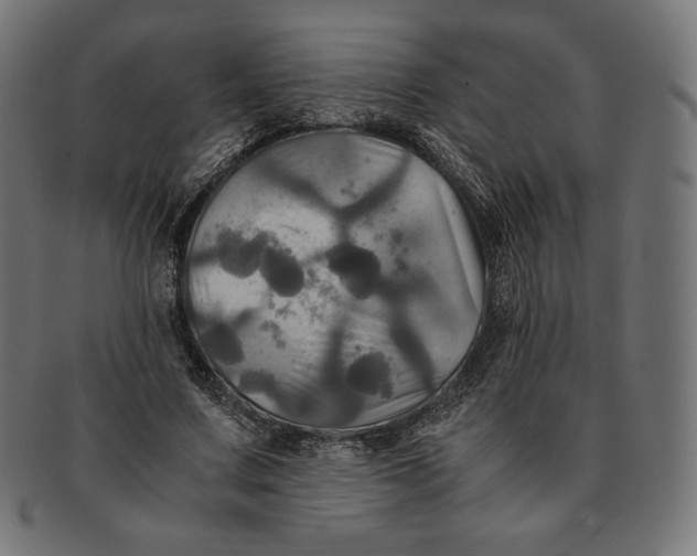 X0000091710683200709210942