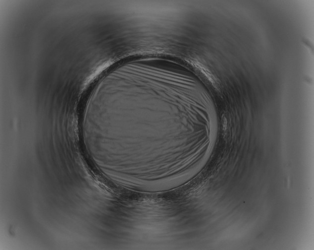 X0000091710684200709210942