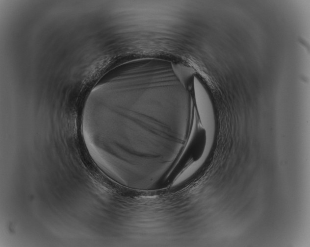 X0000091710685200709210942