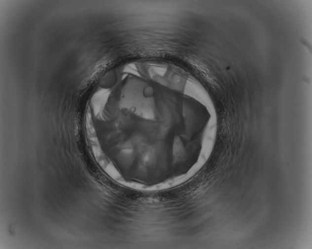 X0000091710687200709210942