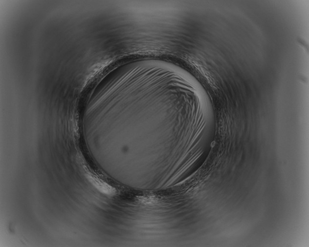 X0000091710688200709210942