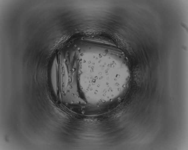 X0000091710690200709210942