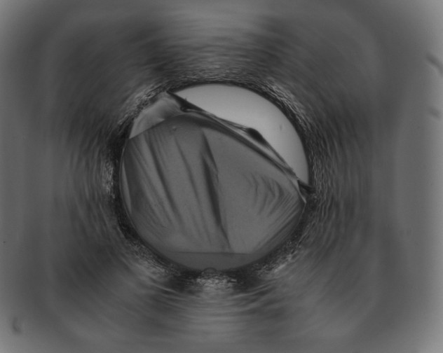 X0000091710693200709210942