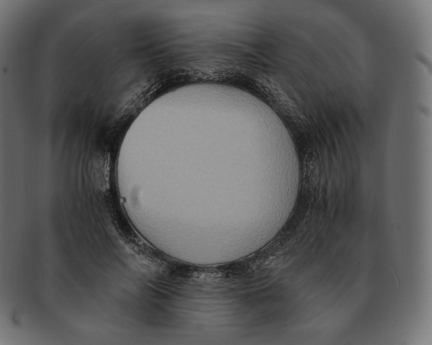 X0000091710694200709210942