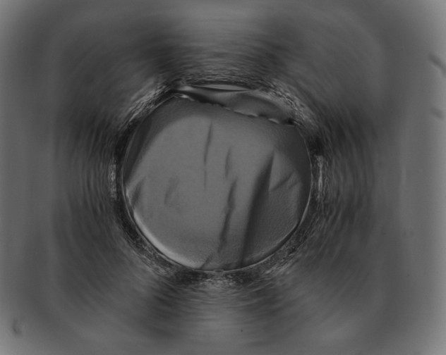 X0000091710696200709210942