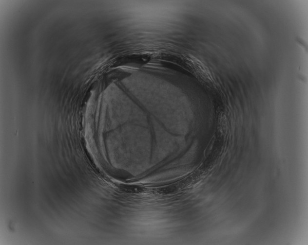 X0000091710697200709210942