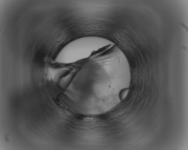 X0000091710699200709210942