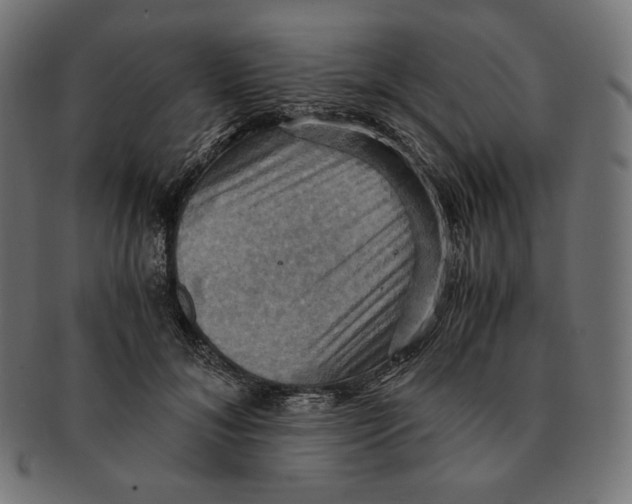 X0000091710700200709210942