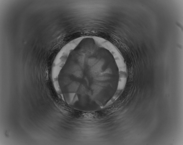 X0000091710703200709210942