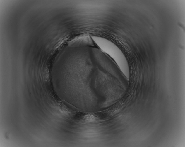 X0000091710704200709210942