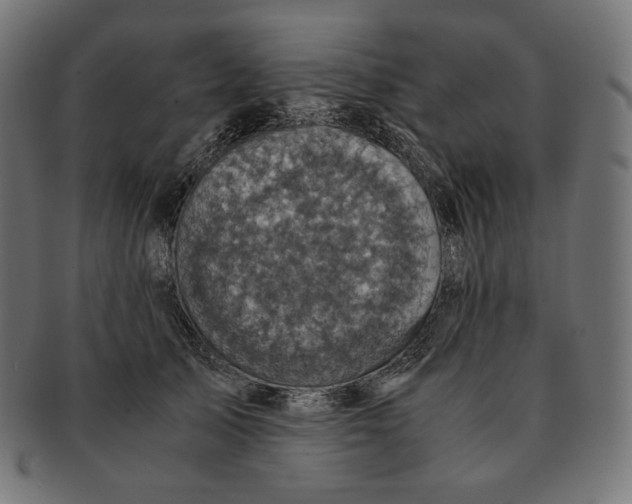 X0000091710705200709210942