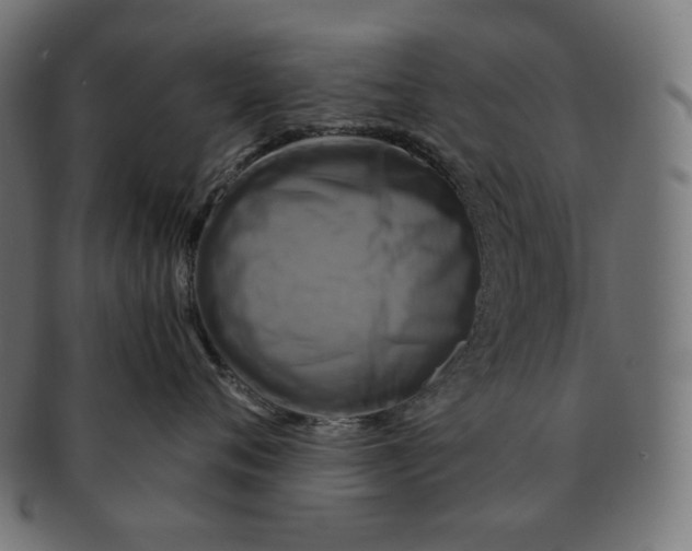 X0000091710720200709210941