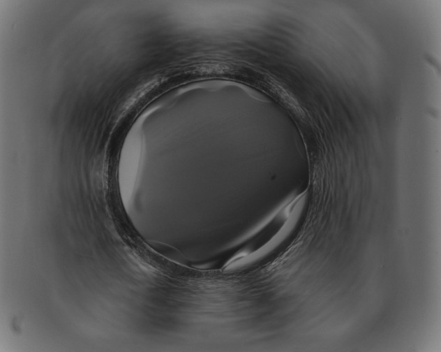 X0000091710722200709210941