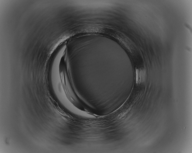 X0000091710723200709210941