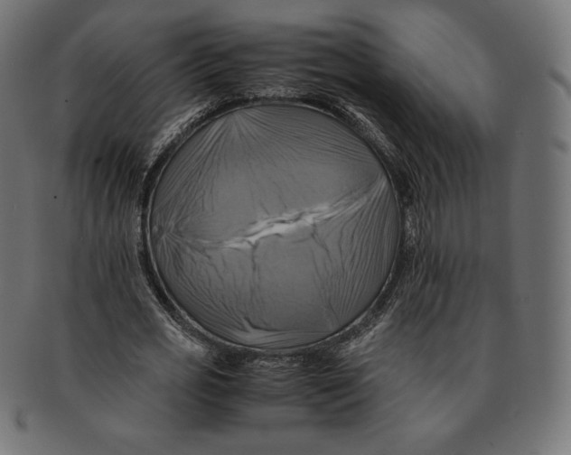 X0000091710725200709210941