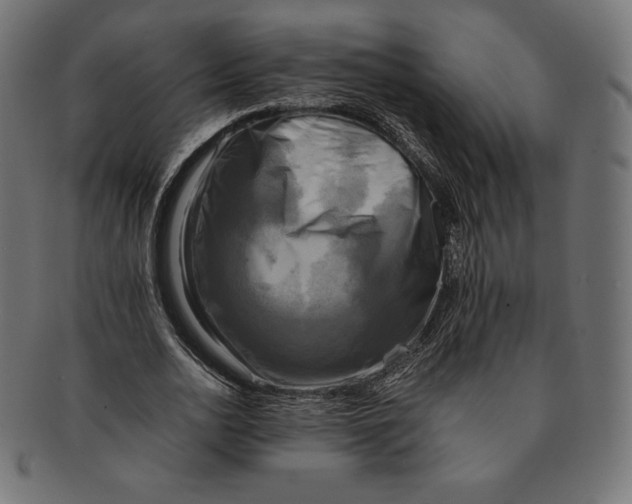 X0000091710726200709210941