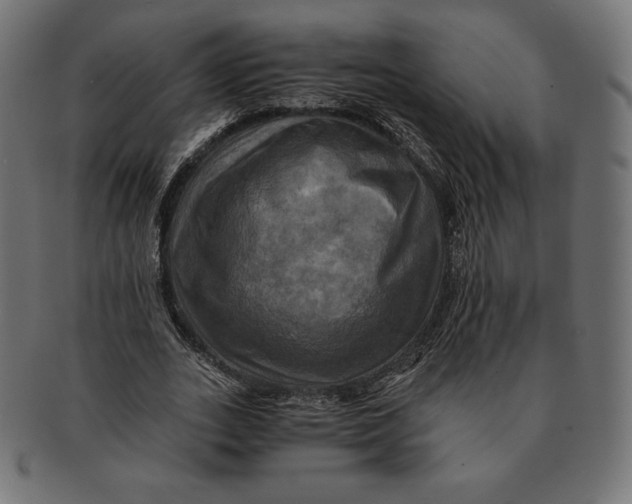 X0000091710727200709210941