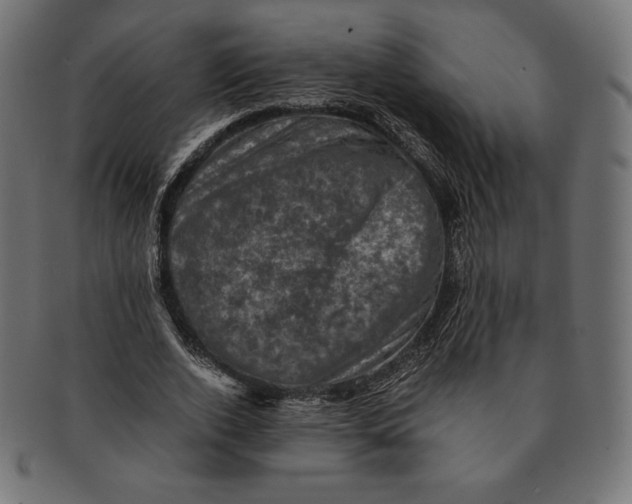 X0000091710728200709210941