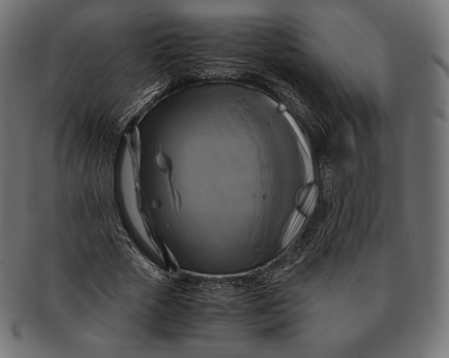 X0000091710729200709210941