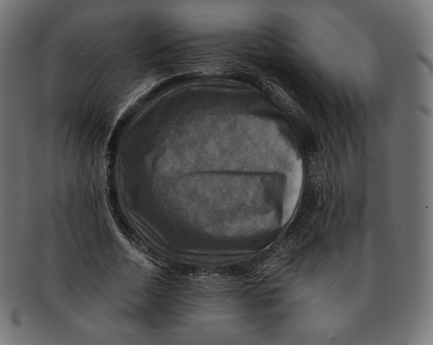 X0000091710730200709210941