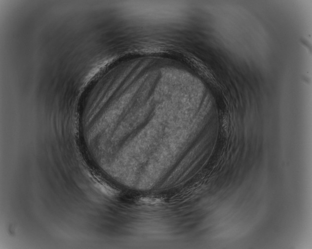 X0000091710732200709210941