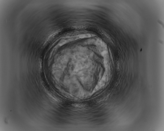 X0000091710733200709210941