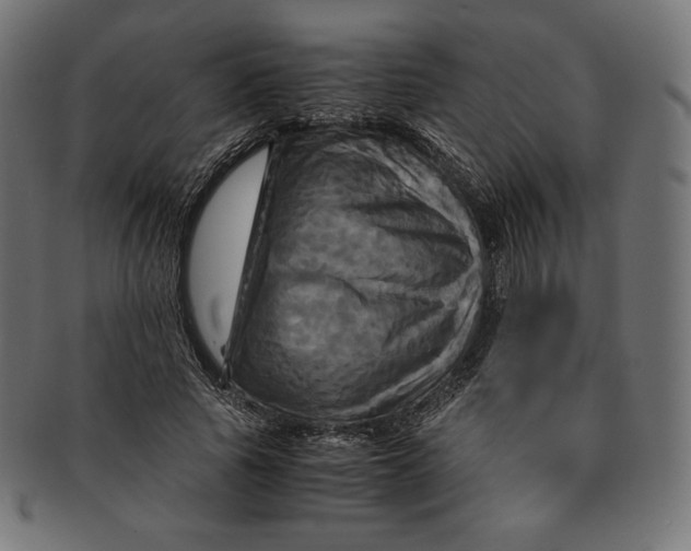 X0000091710737200709210941