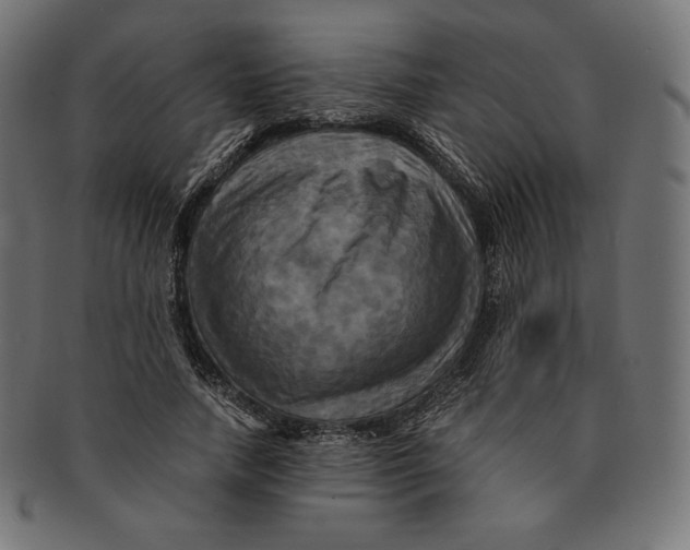 X0000091710738200709210941