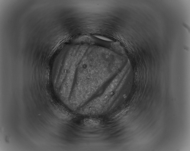 X0000091710739200709210941