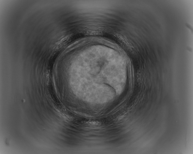 X0000091710741200709210941