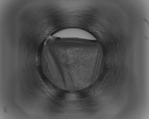 X0000091710743200709210941